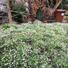 23-03-13 10-14-04 4816